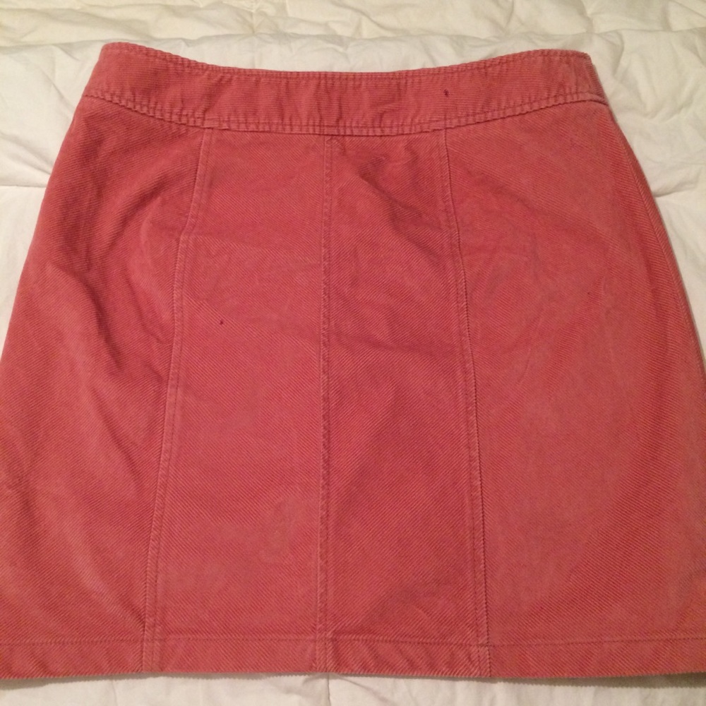 Ann Taylor skirt